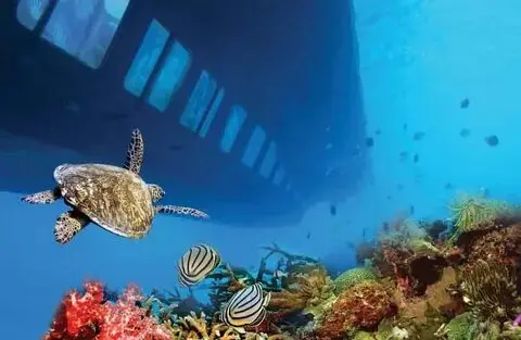 marsa alam